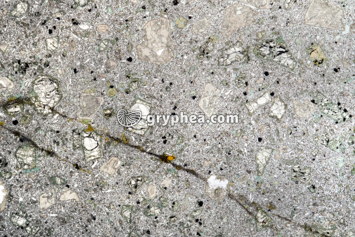 Basalte à olivine LPNA x1,6 - gryphea.org